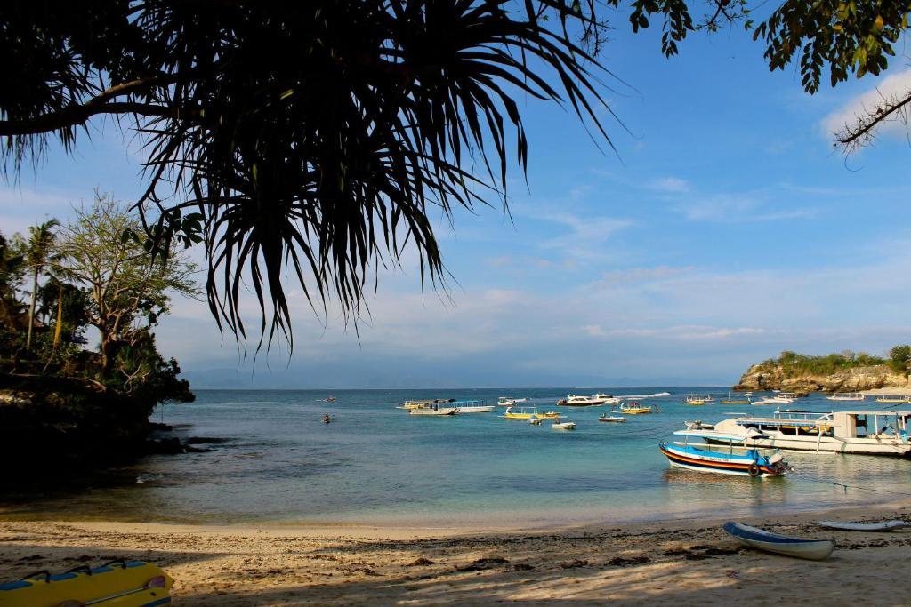 Molamola House Hotell Lembongan Rom bilde